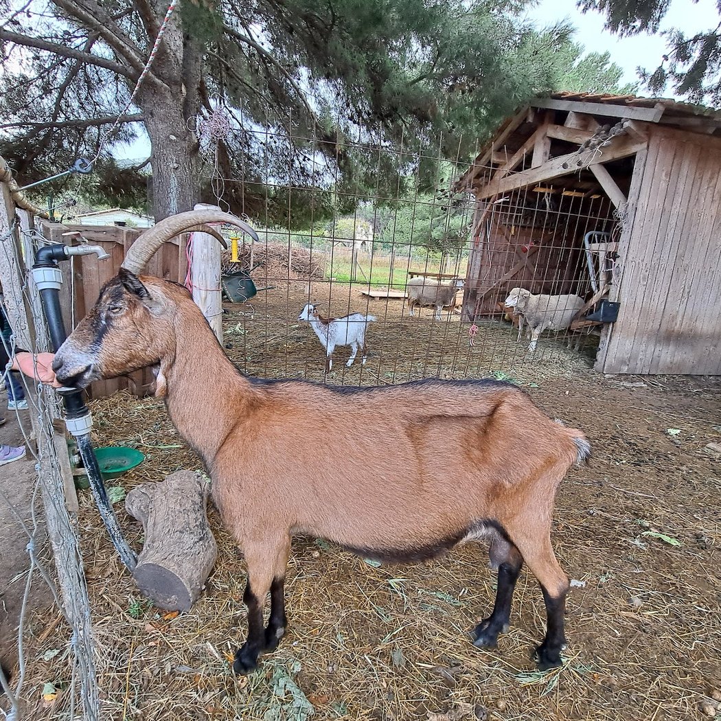 Marché à la Ferme 3